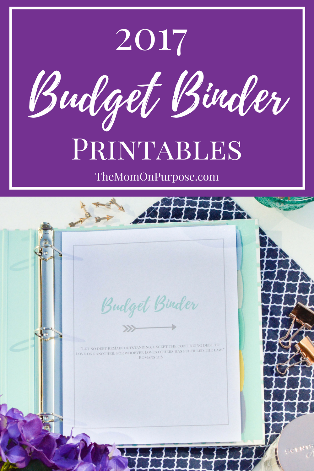 2017 Budget Binder - The Simply Organized Home